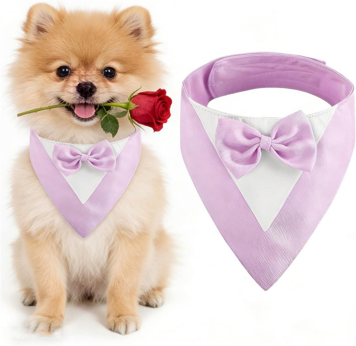 Hondenmok met Strik, Hondenhalsband voor Trouwerijen, Kostuum voor Kleine Honden bij Verjaardagen en Verlovingen (Hals: 20-30cm, Paars)