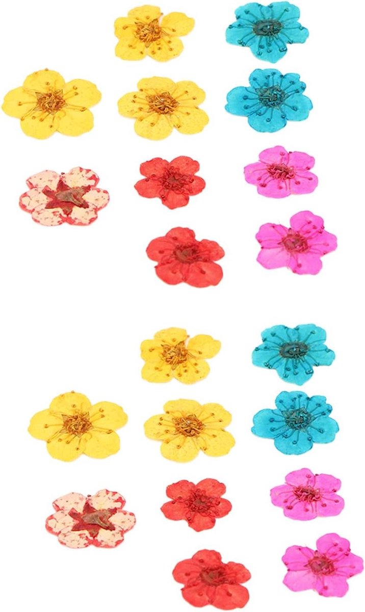Droogbloemen Materialen - Bloemen Decoratie - Ambachtelijk Knutselen - Natuurlijk & Geurloos - 20 Stuks - Multicolor
