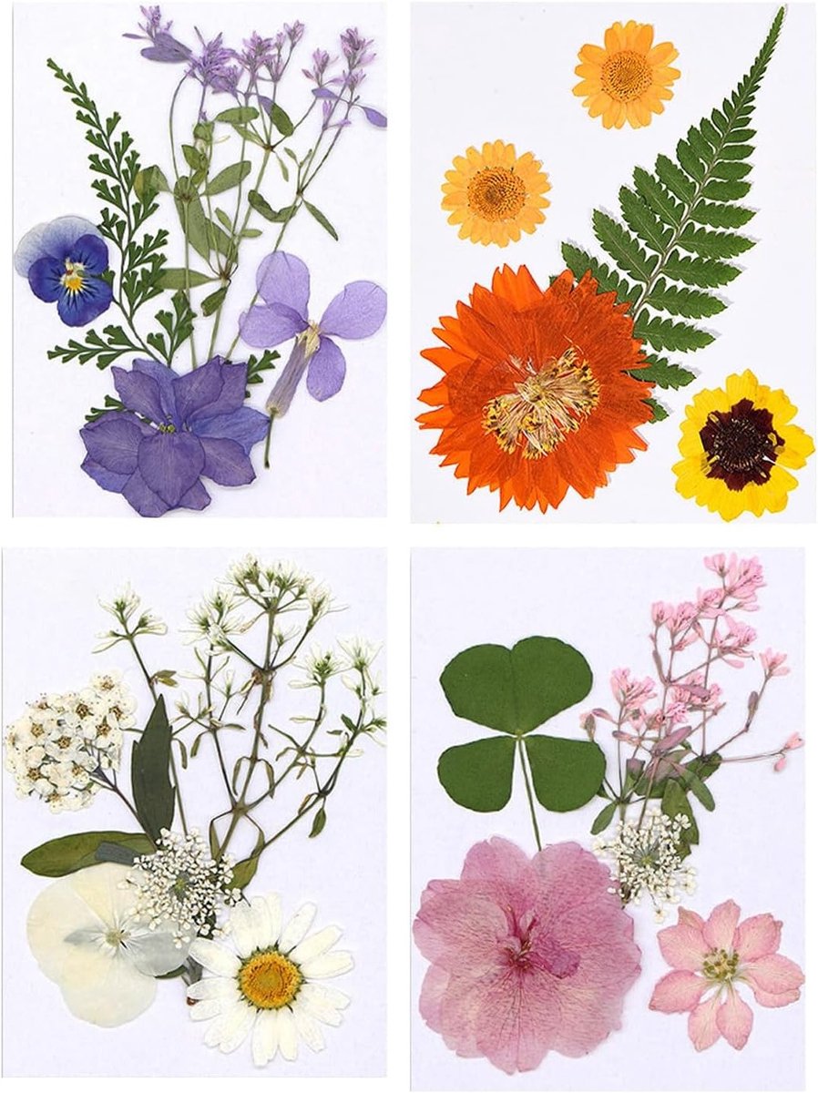 Drogen Bloemen voor Epoxyhars - Natuurlijke Gedroogde Bloemen voor DIY Projecten en Scrapbooking