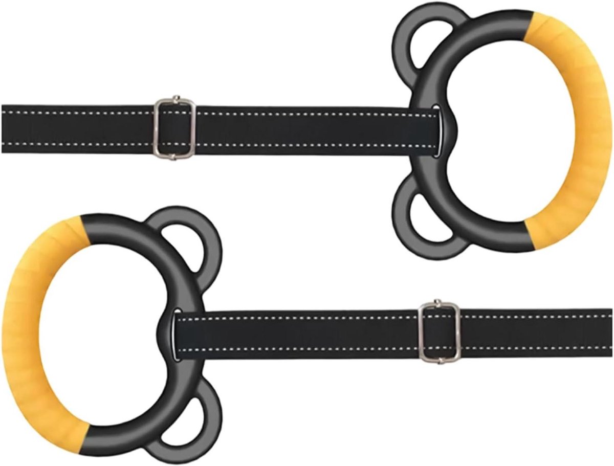Fitnessringen - Gymnastiekringen Oefenringen - Spierversterking Thuis - Hoge Draagcapaciteit - 200 kg - Zwart