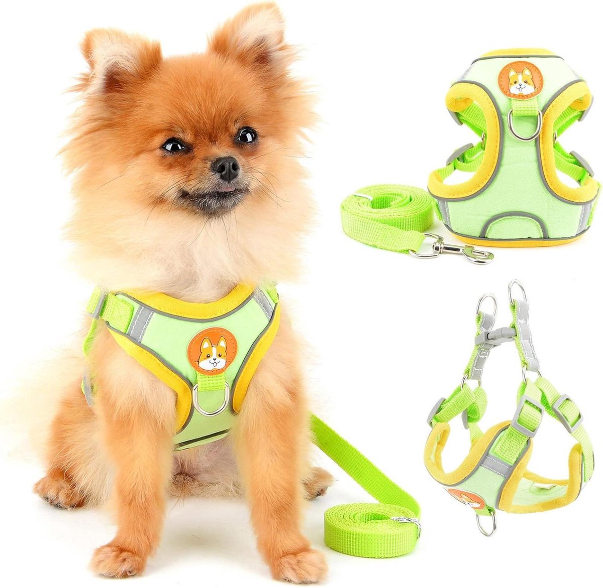 Honden Harnas Set - Hondenvest Lijn - Veilig Wandelen - Reflecterend Ontwerp - Borstomvang 43-51cm - Groen