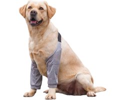 Elleboogbeschermer voor honden tegen eelt - herstelpak voor voorpoten - alternatief voor een kraag om het likken van wonden te voorkomen - beschermhoes voor kleine, middelgrote en grote honden - Grijs - XL