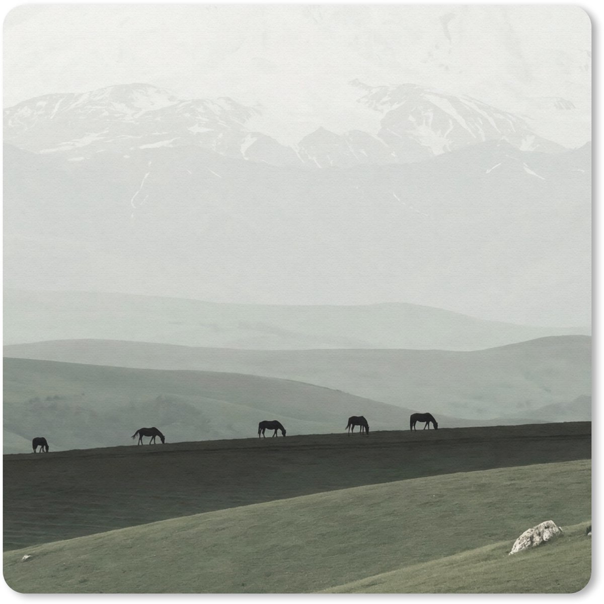 Muismat 30x30 cm - Mousepad Grijs - Berg - Paarden - Muismatten
