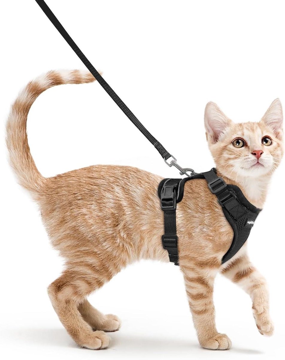 Kattenharnas en Riem - Huisdier Tuigje - Veilig Wandelen Buiten - Ontsnappingsbestendig Ontwerp - 150 cm Riem - Zwart