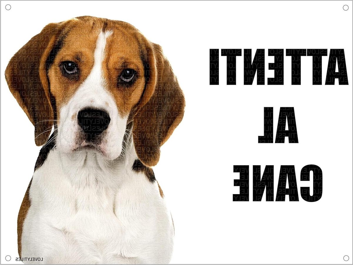 Hondenbord Metaal - Waarschuwingsbord Hond - Huisdecoratie - Rustieke Stijl - 15x20 cm - Metaal