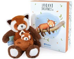 DOUDOU ET COMPAGNIE - Pluche Panda Roux met haar baby - 25 cm - Kleur Bruin - Collectie Unicef - Met geschenkdoos - Cadeau-idee voor baby geboorte - Garantie verloren knuffeldier - DC3985