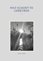 Wat schijnt te gebeuren
