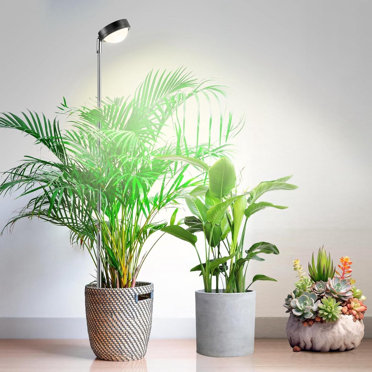 Plantenlamp LED - Groeilamp Volledig Spectrum - Binnen Planten Verzorgen - Optische Lens Technologie - Verstelbare Hoogte - Warm Wit