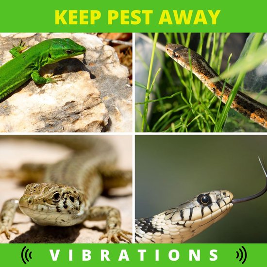 Vier close-up beelden van een groene hagedis, een gestreepte slang en een cobra met tong uit de bek. De tekst "KEEP PEST AWAY" en "VIBRATIONS".