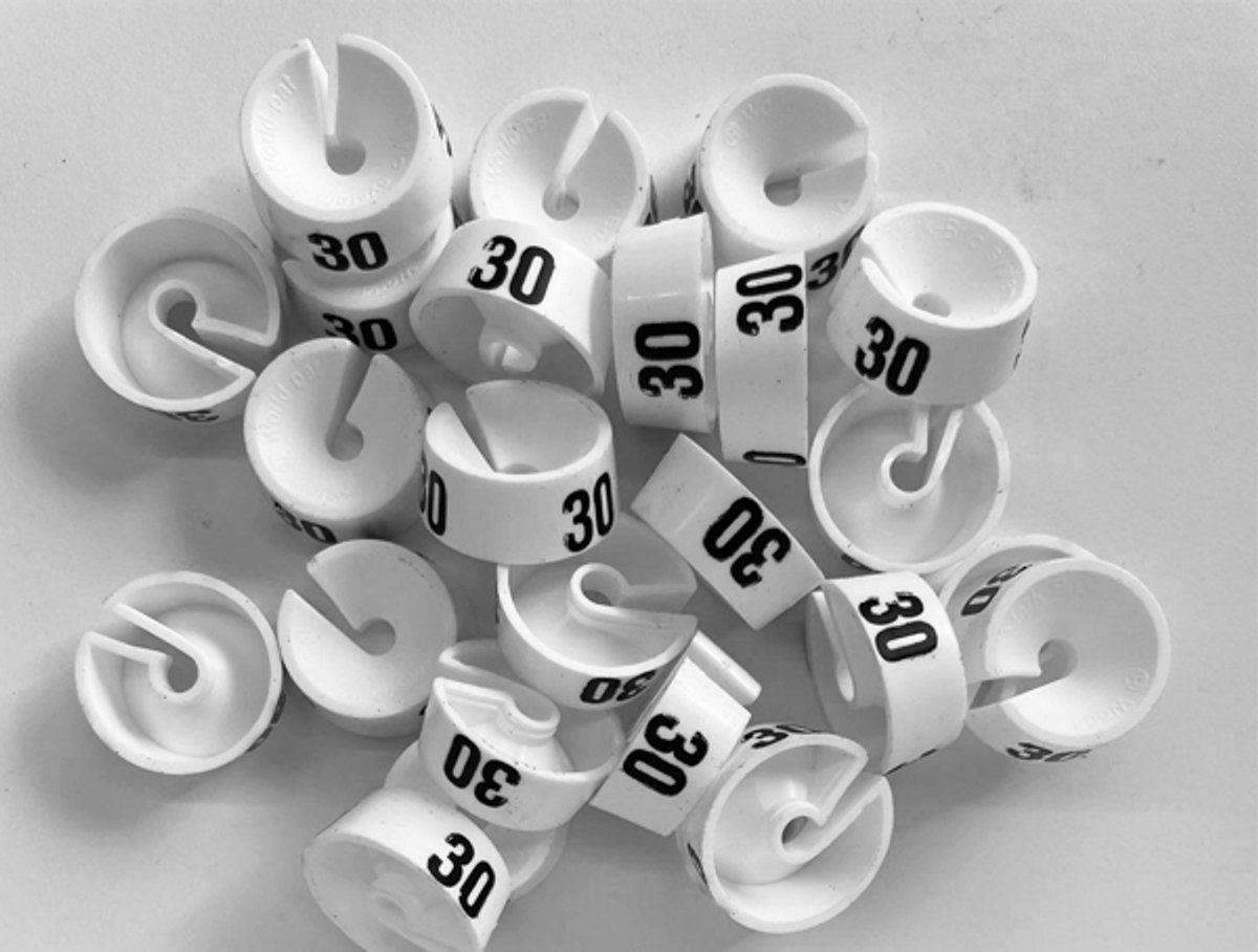 Bleijenberg Maatdopje maat 30 wit - Maataanduiding voor kledinghangers per 25 stuks - Maatringetje Ø 20 mm - Kledinghangers - Kleerhanger - Kapstok - Mark-Brics - wisersizer