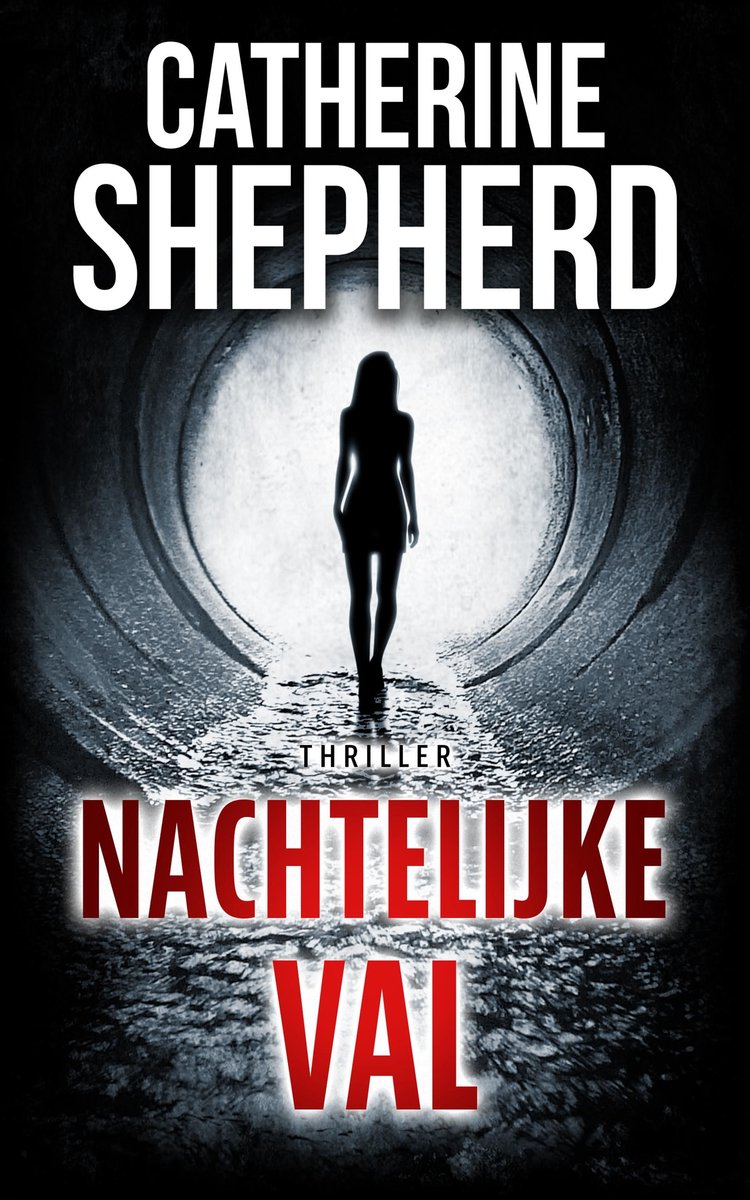 Een Julia Schwarz-Thriller Book 2 - Nachtelijke Val