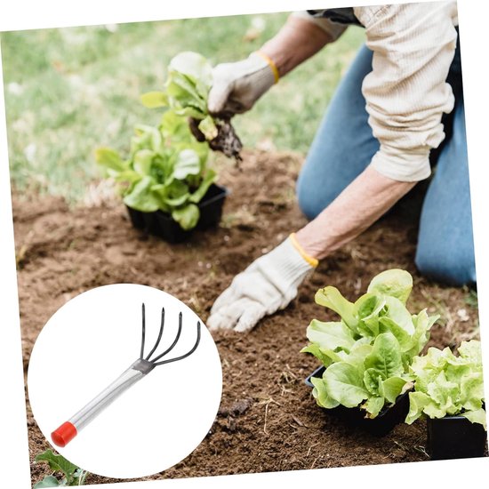Tuinhark 4-tanden - Grondhark Losmaken - Tuinieren Grond Bewerken - Zwaar Staal Vier Tanden - 506 Gram - Diverse Kleur — afbeelding 4