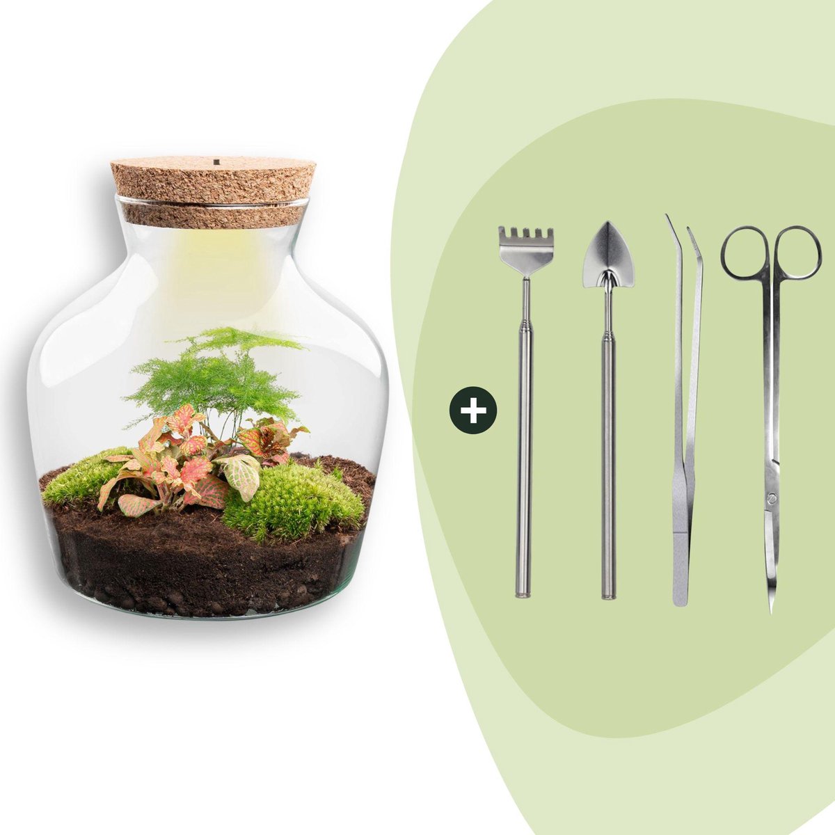 Terrarium - Little Joe - ↑ 21,5 cm - Ecosysteem plant - Kamerplanten - DIY planten terrarium - Mini ecosysteem - Inclusief Hark + Schep + Pincet + Schaar