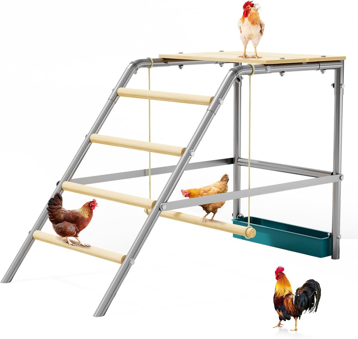 Stevige zitstok voor buitenkippenhok 100×48×70 cm | Met schommel, klimrek en ruststangen, eenvoudig te monteren en schoon te maken | Pluimvee accessoire voor kippenhokken