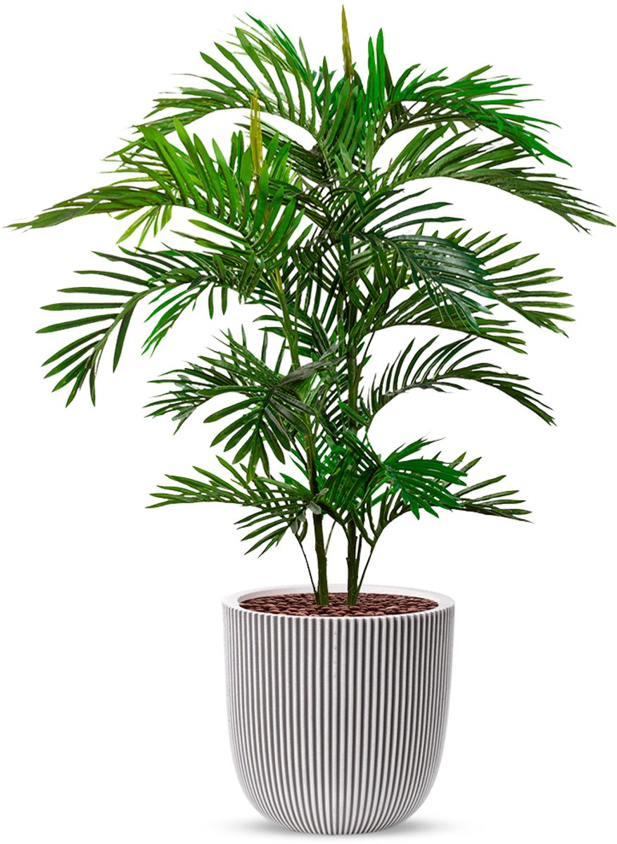 HTT Decorations Kunstplant Arecapalm in Planter Ball groove ivoor H135 cm