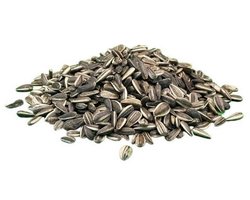 Zonnebloempitten gestreept - 25kg