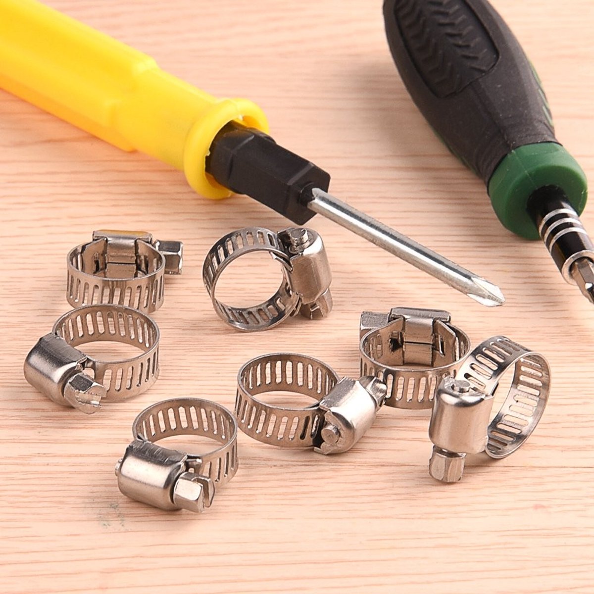 Dailygoods- Slangenklem Set 20 Stuks - Verstelbaar 10-16mm - Roestvrij Staal - Duurzaam - Antiroest - PP Opbergdoos - Slangenklemmen