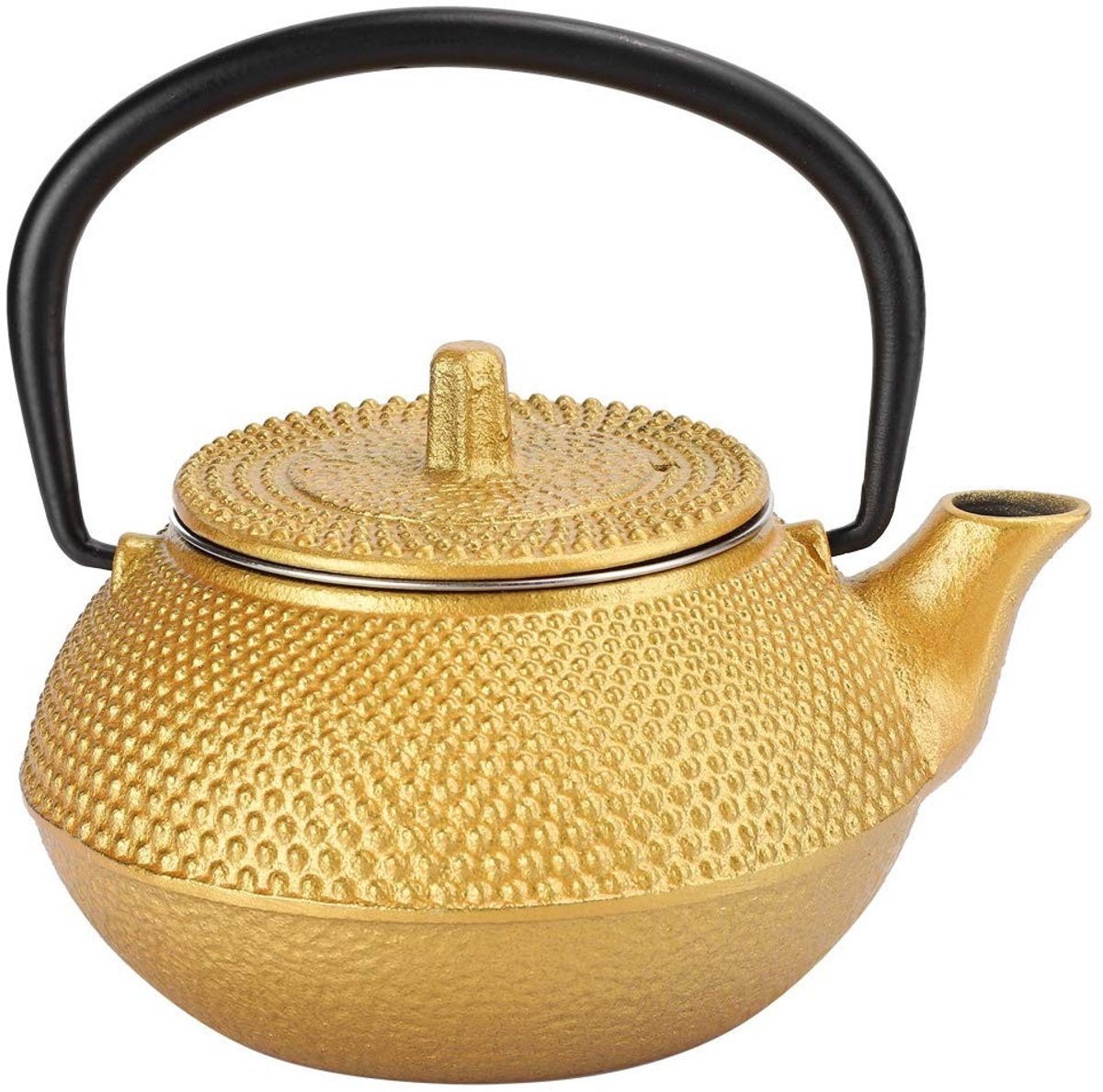 Dailygoods- Theepot Gietijzer 300 ml - Theepot met Filter - Theepot voor Losse Thee - Theepot met Deksel - Theepot voor Woninginrichting - Veilig voor Kookplaat - Theepotje