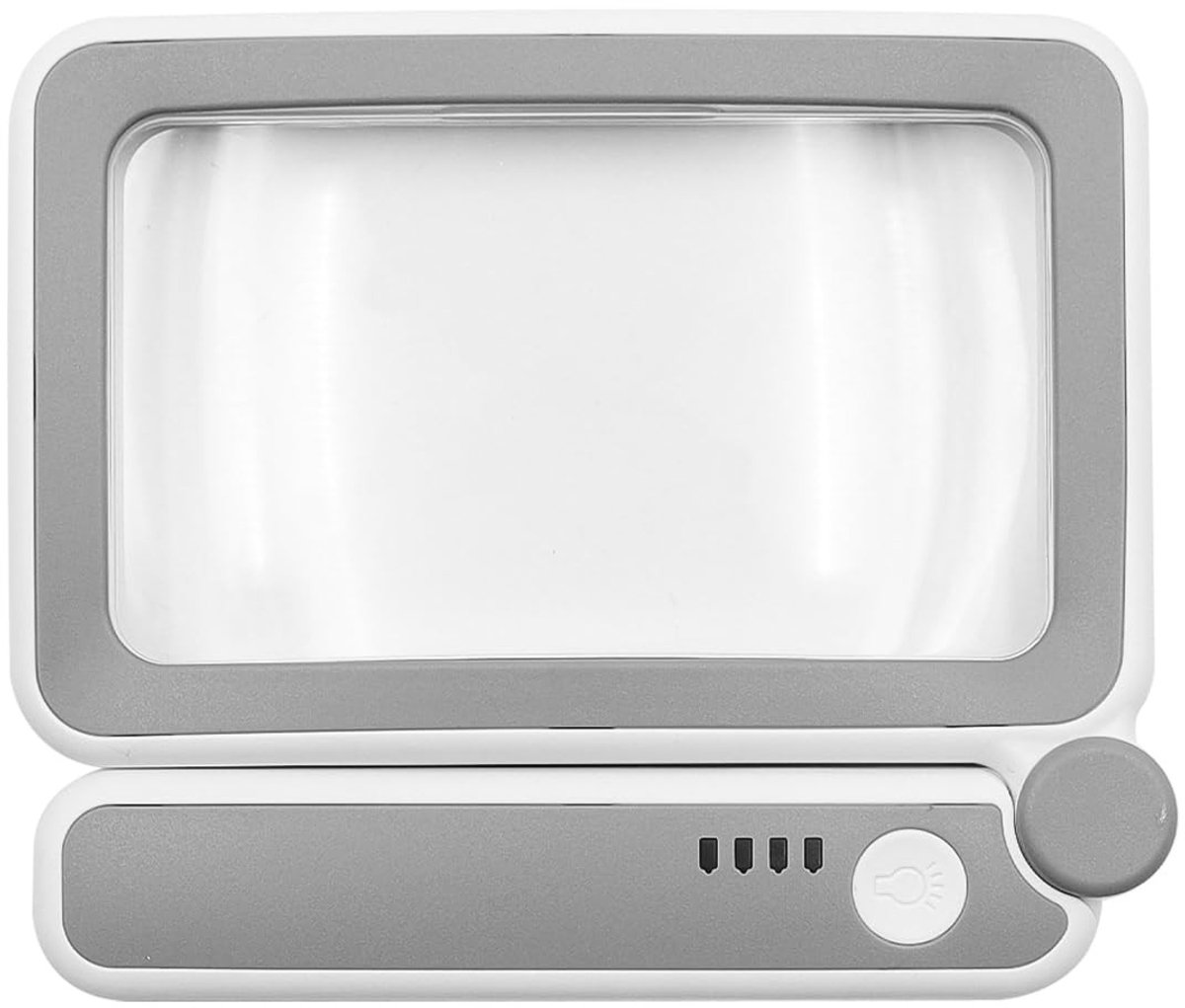 Dailygoods - Vergrootglas met Licht en 4x Vergroting voor Lezen