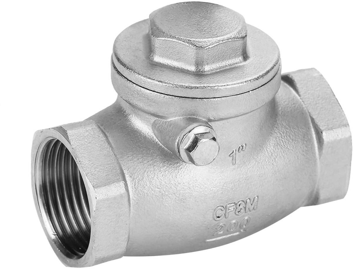 Dailygoods - Terugslagklep - Roestvrij Staal - Hoge Drukbestendigheid - 1 Inch - Eenrichtingsklep - Voor Water en Oliën - Industrieel
