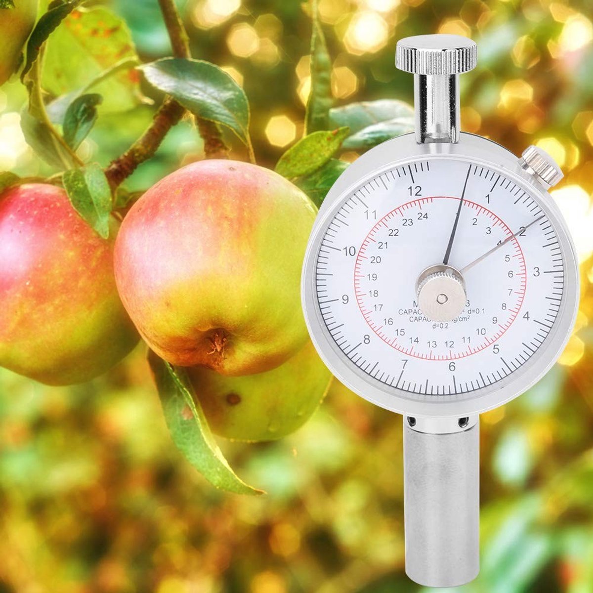 Dailygoods - Fruit Penetrometer - Hardheidstest apparaat - Voor fruitonderzoek - Handmeter - Met 2 meetkoppen - Ideaal voor fruittelers - Geschikt voo...