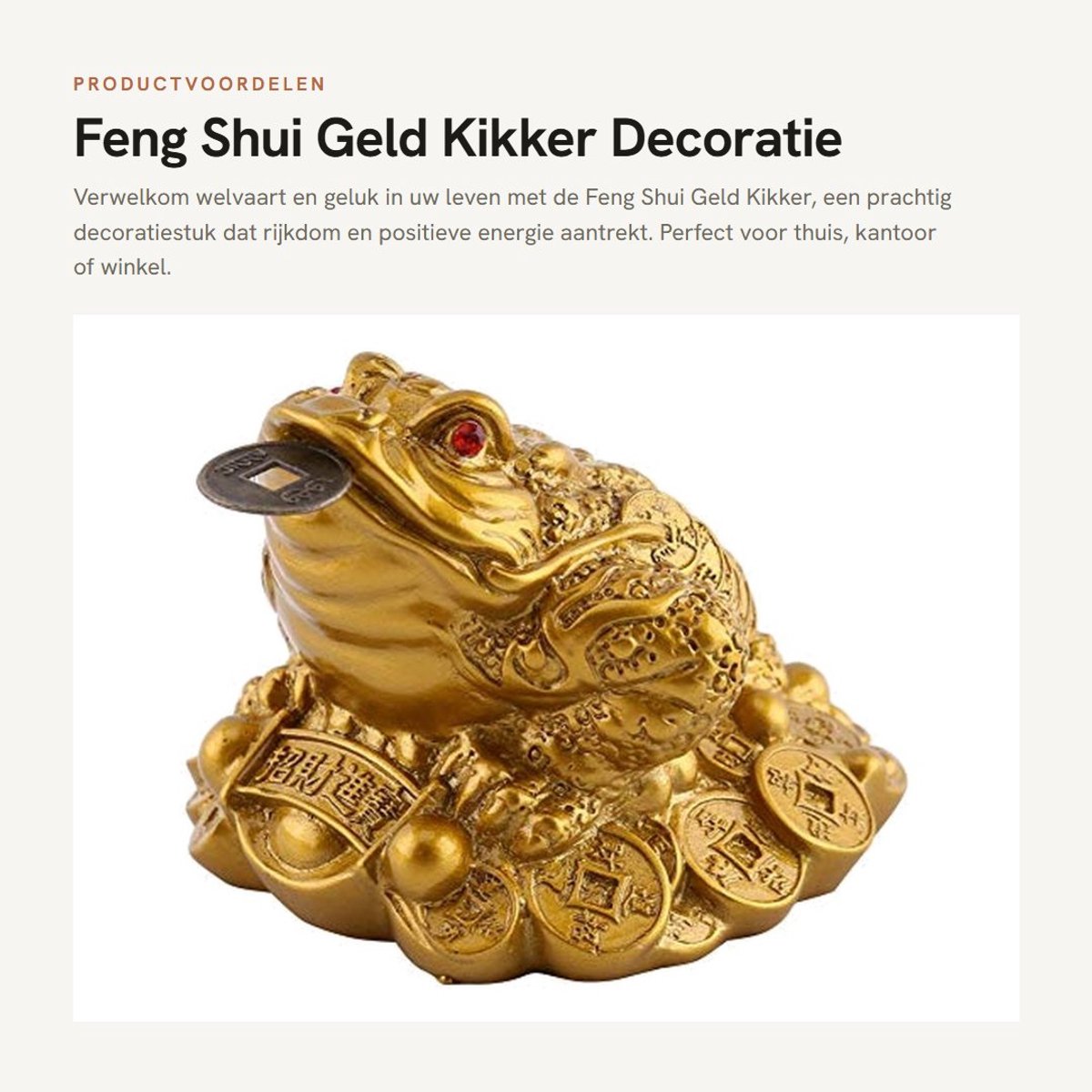 Dailygoods- Geld Kikker - Zilveren Feng Shui Decoratie - Rijkdom/Veel Geluk - Bescherming - Voor Huis/Kantoor/Winkel - Munt in Mond