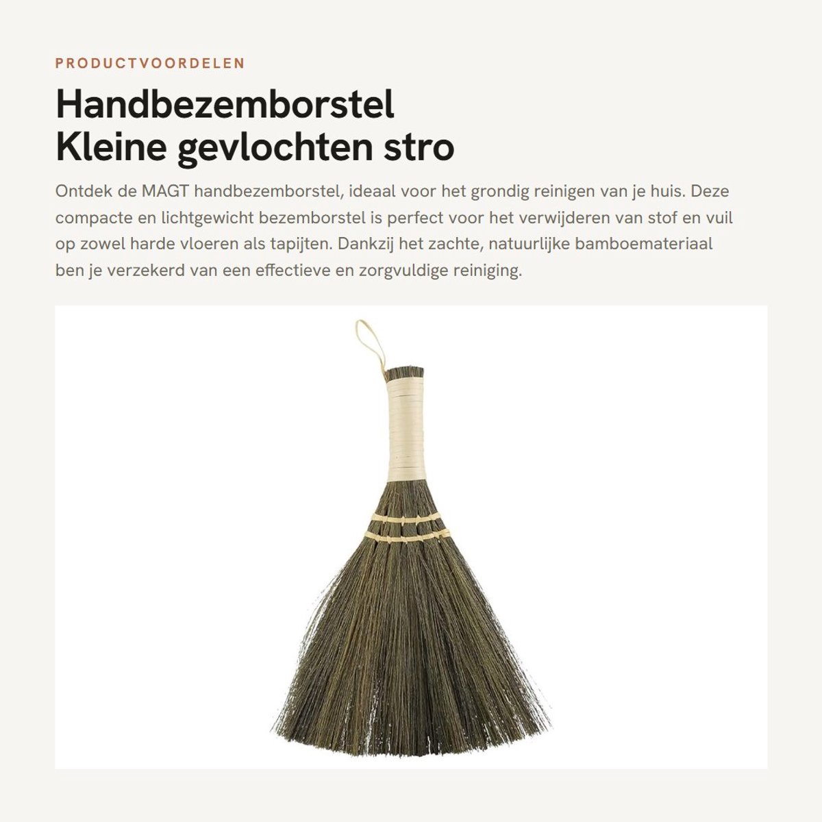 Dailygoods - Handbezemborstel - Kleine gevlochten stro - Draagbaar - Bamboe - Desktopreiniging - Geschikt voor harde vloeren en tapijt - Zilver