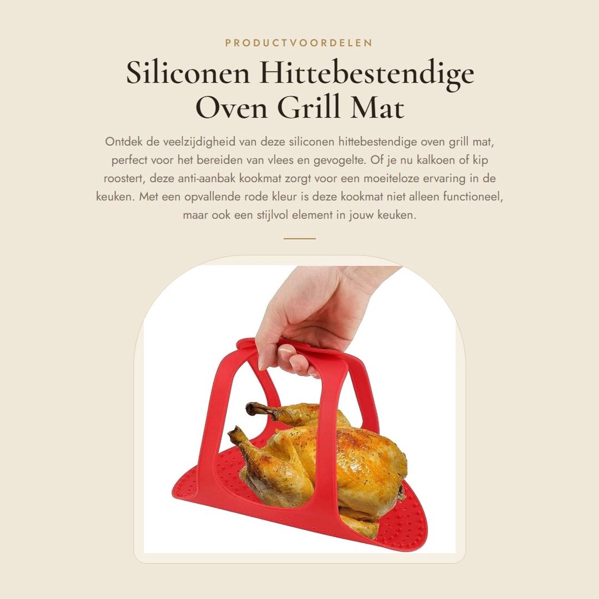 Dailygoods- Kookmat Hittebestendig - Antiaanbak - Grillmat - Oven - Pan - Roosteren