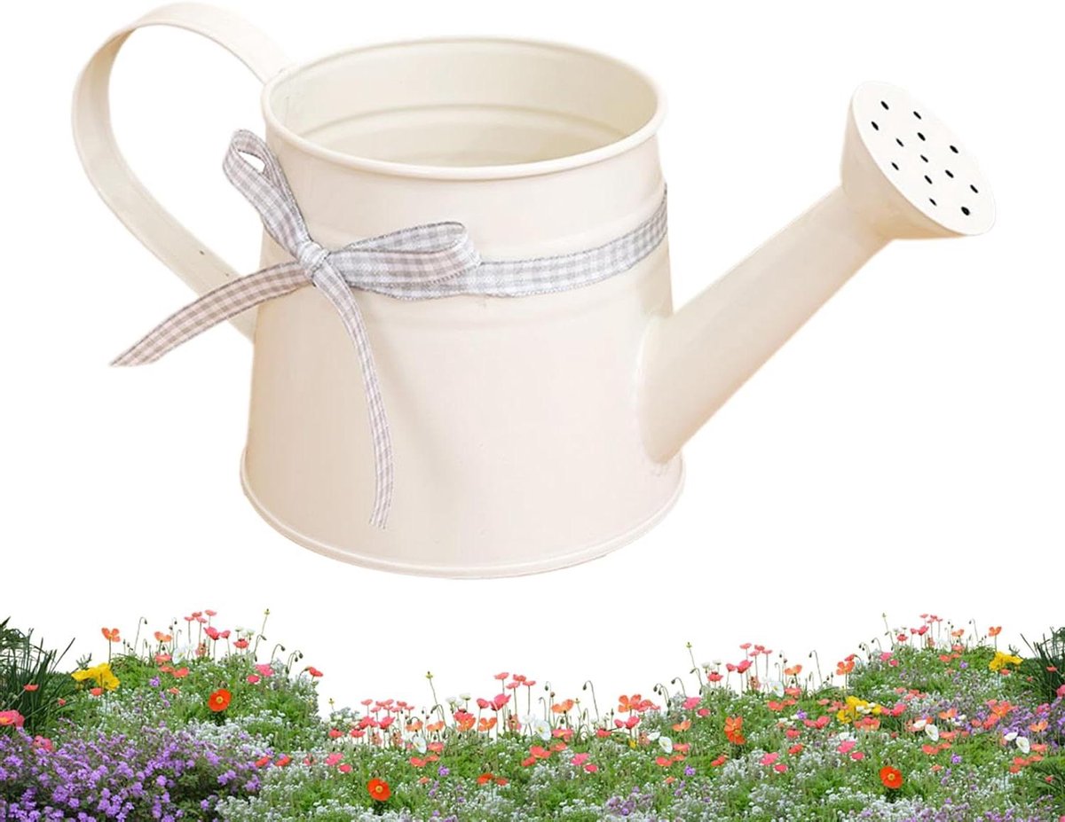 Kleine gieter - Planten watergever - Planten verzorgen - Roestbestendig metaal - 1 liter inhoud - Wit