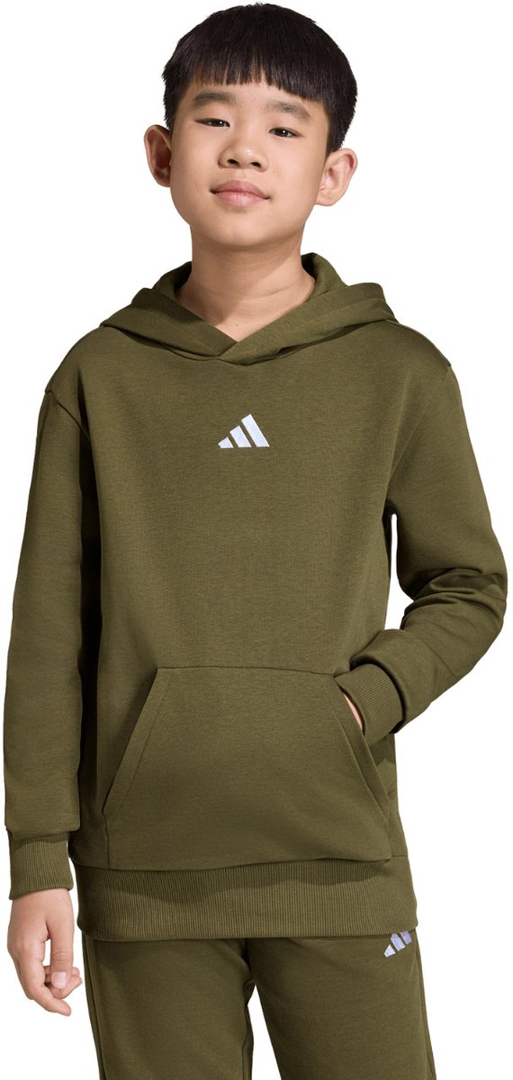 adidas Sweater Essentials Hoodie 225 140cm Groen