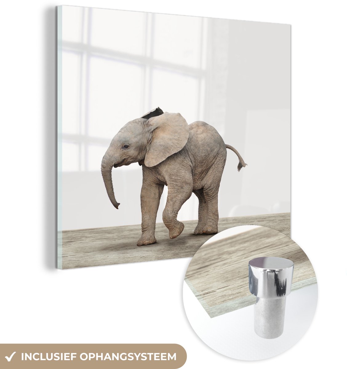 ® Glasschilderij 50x50 cm - Schilderij acrylglas - Baby olifant - Dieren - Olifant - Kinderen - Meiden - Jongens - Foto op glas - Muurdecoratie woonkamer - Wanddecoratie slaapkamer - Schilderijen