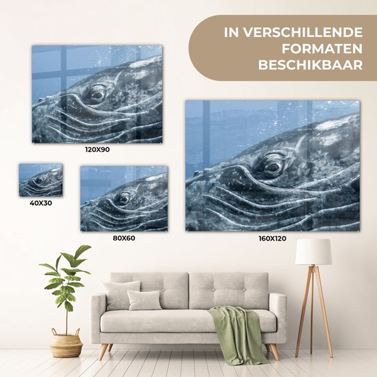 MuchoWow® Peinture sur verre 120x90 cm - Peinture sur verre acrylique - Water - Animaux - Baleine à bosse - Photo sur verre - Peintures
