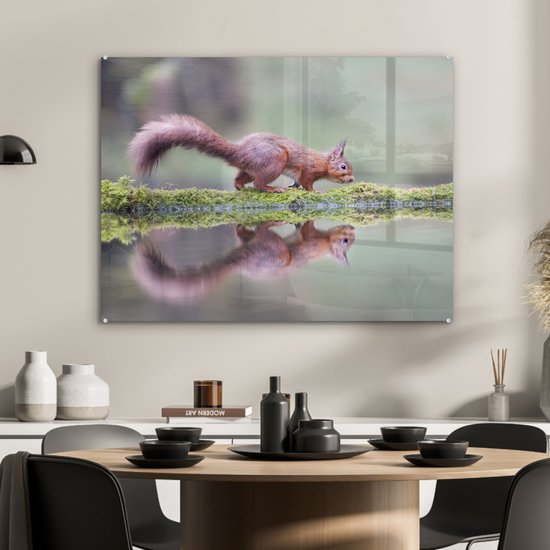 Peinture sur Verre - Écureuil - Mousse - Water - Reflet - 80x60 cm - Peintures sur Verre Acrylique - Photo sur Glas