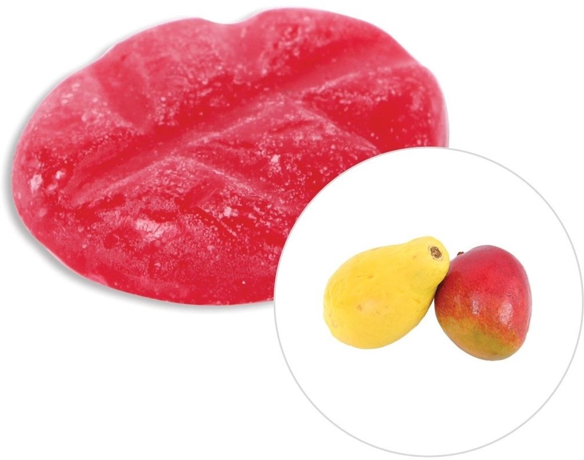 Scentchips® Mango Papaya - Geurblokjes - Huisparfum - Geurchips - Waxmelts - Geschikt voor Geurbrander en Waxbrander - XXL - 144 Stuks
