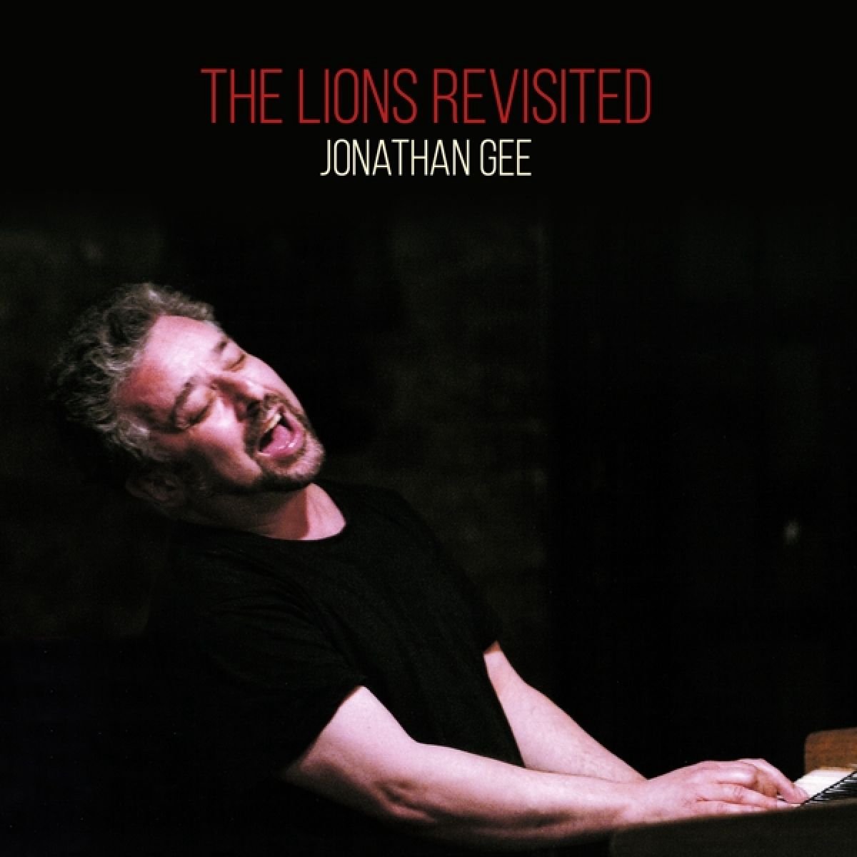 The Lions Revisited