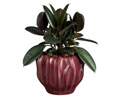 Mica Decorations Planten / bloempot Thom - bordeaux rood - keramiek - 22 x 28 cm