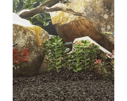 Aquarium Grind - Bodembedekking Bodem - Aquarium Inrichting - 100% Natuurlijk Basalt - 5-8 mm - Zwart