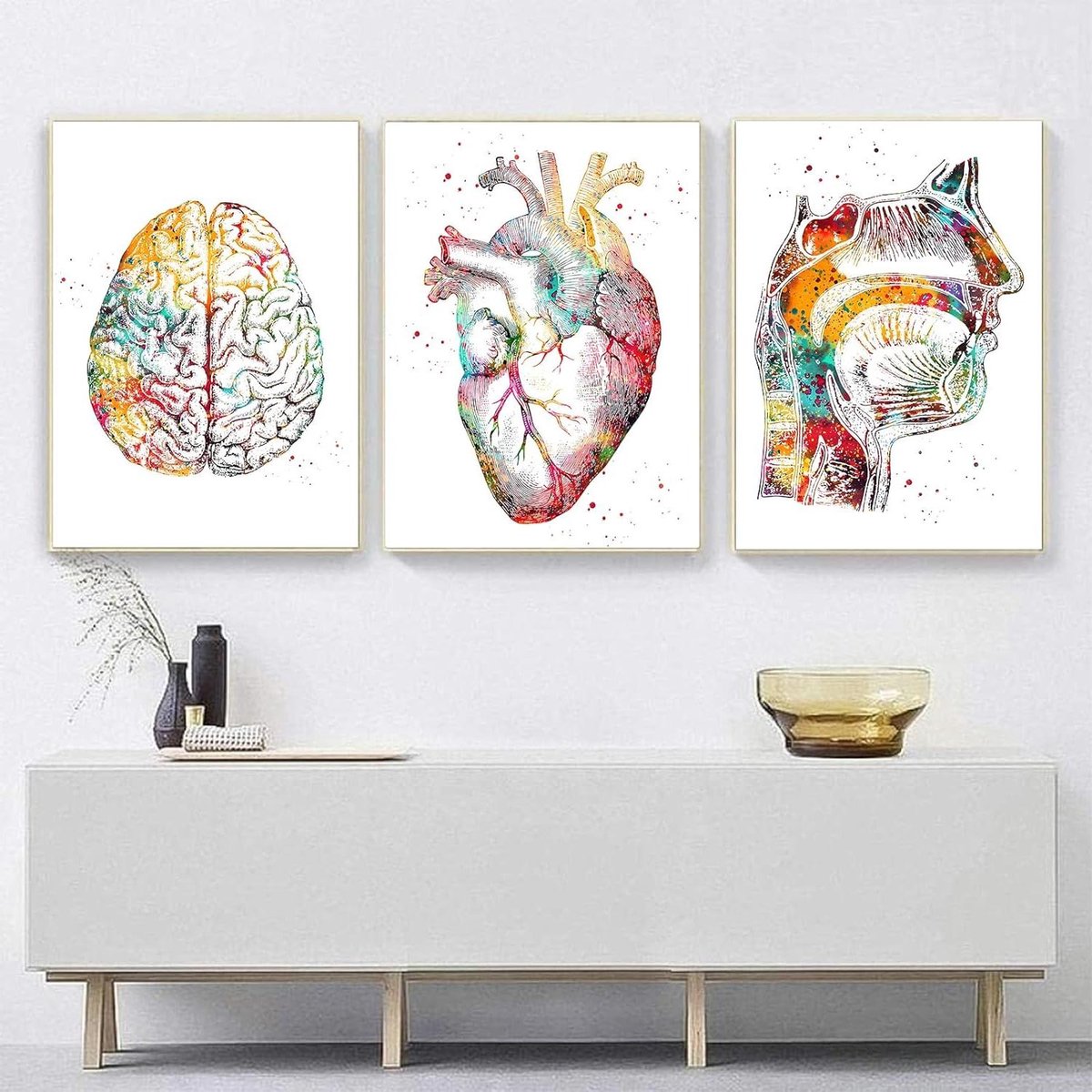 Anatomie Poster Set - Medische Muurkunst - Kliniek Decoratie - Realistische Afbeeldingen - 40x60cm*3 - Niet gespecificeerd