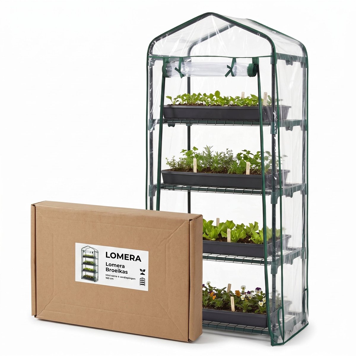 Lomera Broeikas - Kweekkas - 4 Verdiepingen - Foliekas - Serre - Mini Serre - Tuinkas - Plantenkas voor Balkon - Groenten Kweken - Tuin en Terras - Metalen Frame - Bloemenkas - Kruiden Kweken - Kweektent - Moestuin - Zaailingen – foto 6