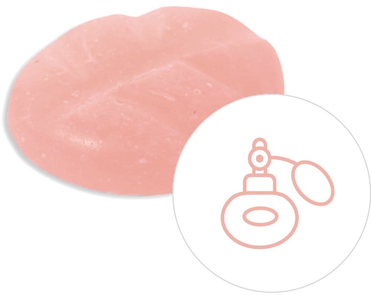 Scentchips® Invincible - Geurblokjes - Huisparfum - Geurchips - Waxmelts - Geschikt voor G