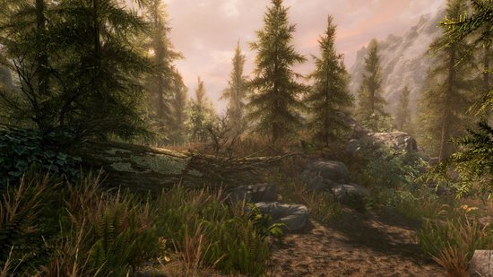Skyrim - Nintendo Switch