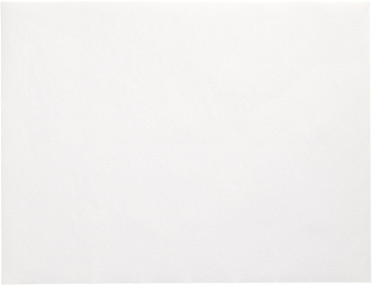 4x 250 Placemats papier 30 cm x 40 cm wit