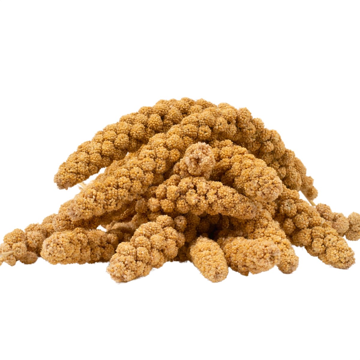 2 kg Lyra Pet® Vossenstaartgierst geel