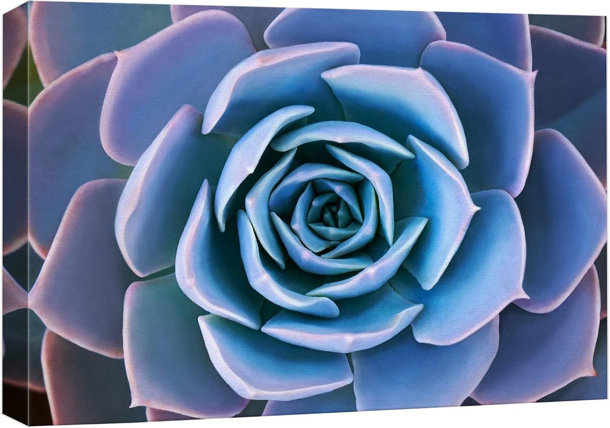 Canvas Muurschildering - Natuurprint Bloemen - Woonkamer Decoratie - Hoge Kwaliteit Canvas - 45.7 x 30.5 cm - Blauw Paars