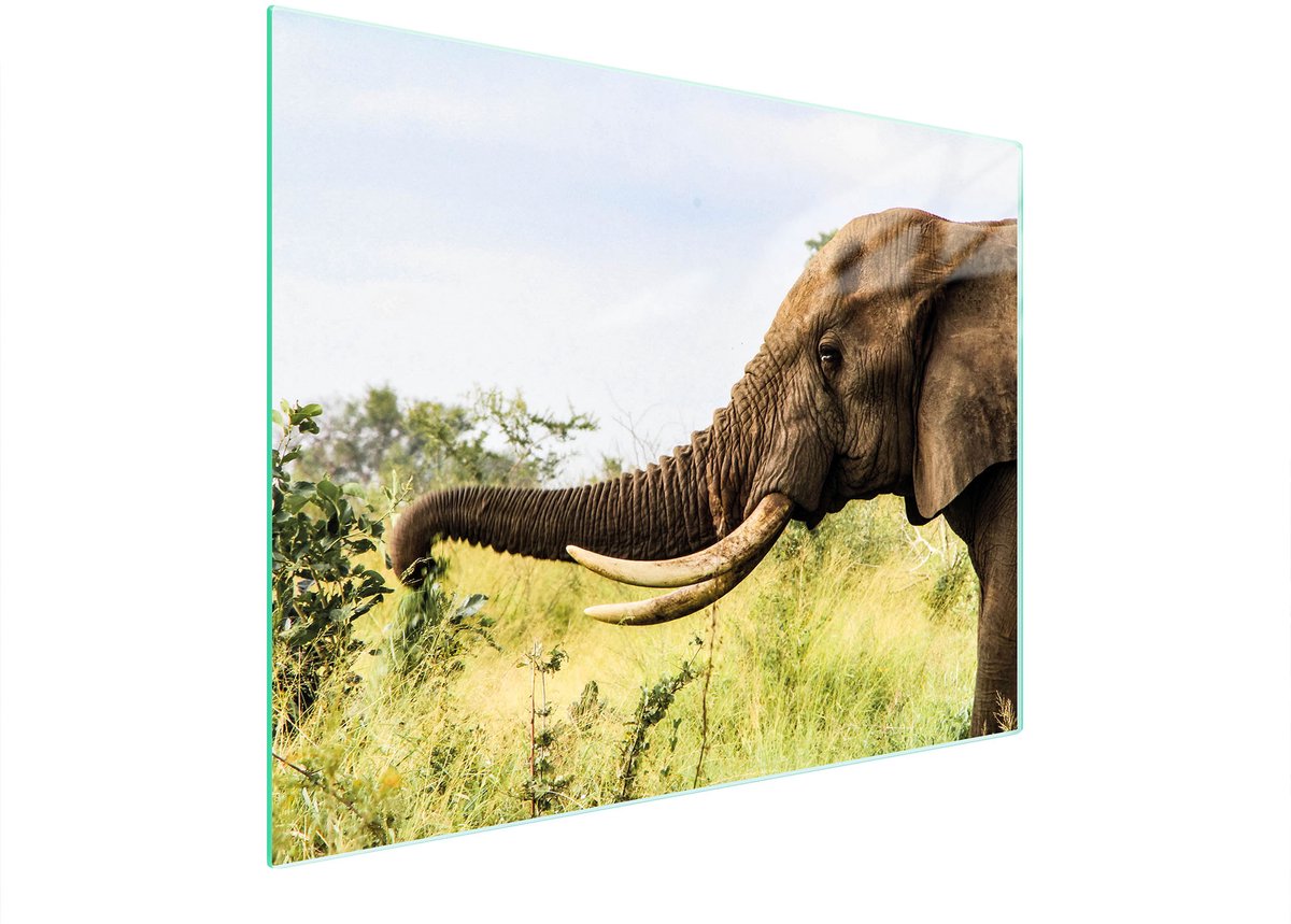 TMK ArtDeko - Snijplank - Glas - 52x40 cm - Antislip