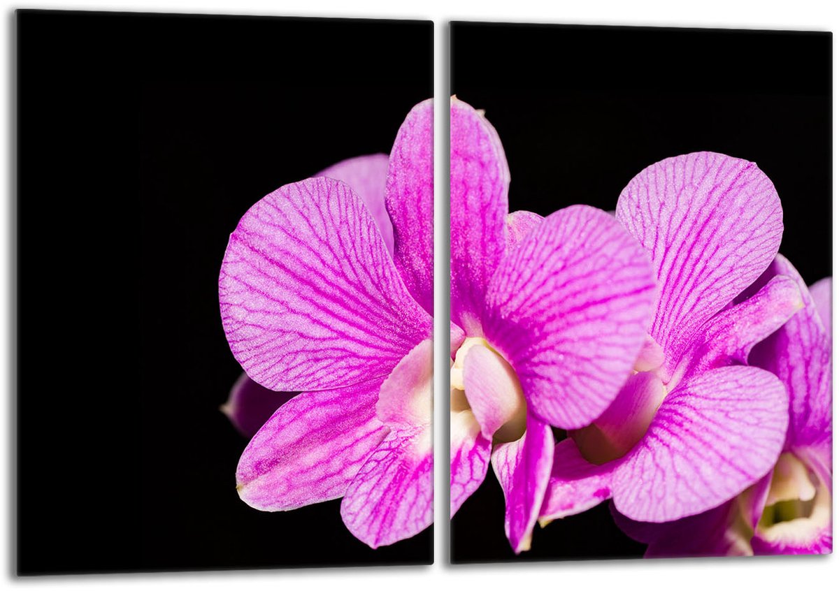 TMK ArtDeko - Snijplank - Orchidea - 2x40x52 - Sneeuw-repellent