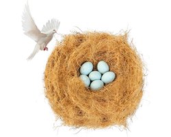 Nestmateriaal Kokosvezel - Vogelnest Materiaal - Nestbouw Vogels - Natuurlijke Vezels - 11 Liter - Bruin