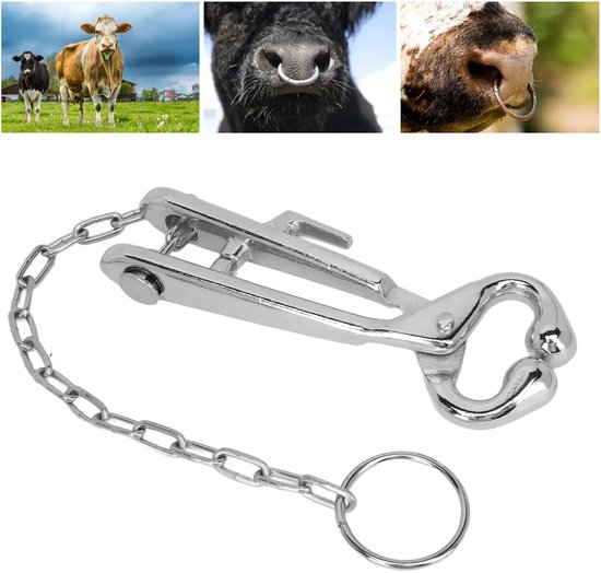 Allecto - Cattle Nose Ring Pliers - Roestvrij Staal - Haak en Ketting - Veeteelt Gereedschap - Dierverzorging - Professionele Kwaliteit - Geschikt .. van Merkloos — afbeelding 4