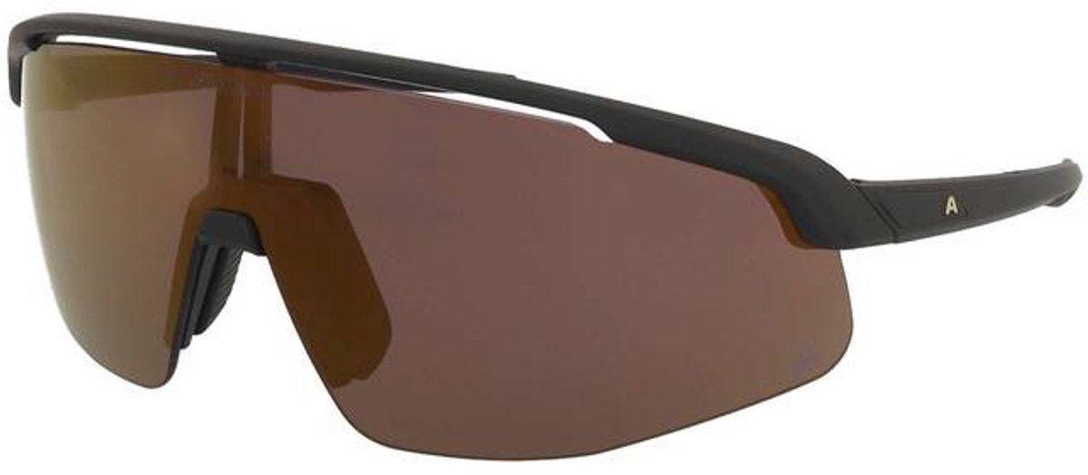 Zonnebril Alpina Turbo Pro Q Black Matt/Gold Mirror