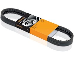 Contitech 3PK875 V-riem geribbeld
